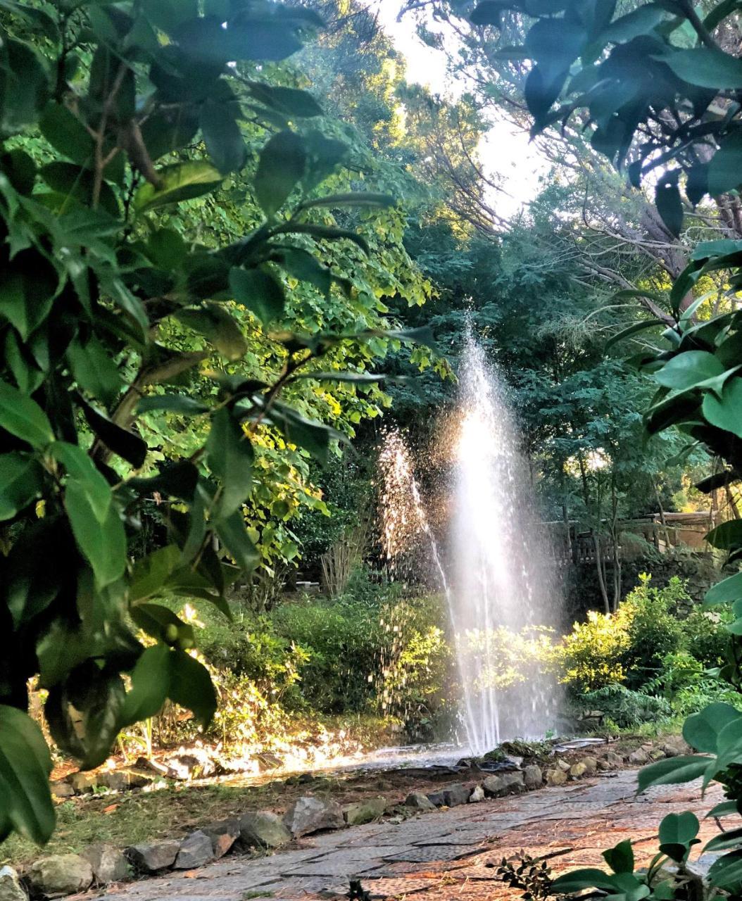 Villa Musolino - Country Resort Messina Kültér fotó