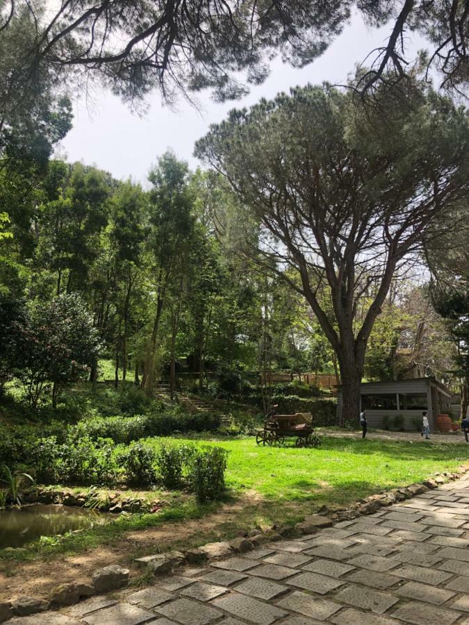 Villa Musolino - Country Resort Messina Kültér fotó