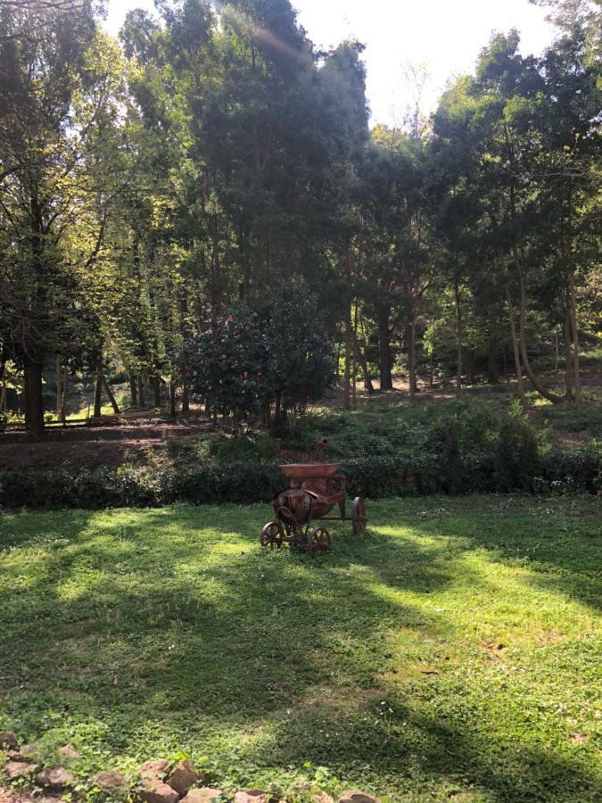 Villa Musolino - Country Resort Messina Kültér fotó